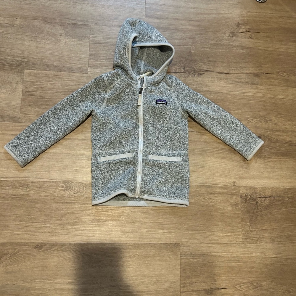 Patagonia Kids Gray Hooded Zip Fleece Jacket